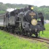 2011春蒸気機関車